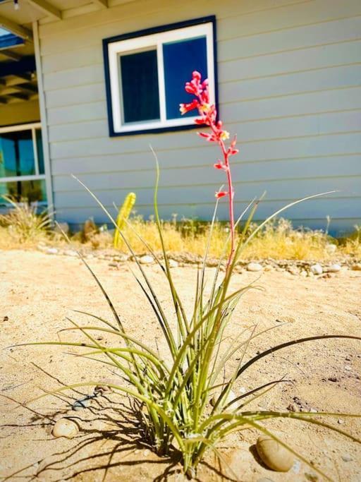 Сasa de vacaciones The Desert Monroe-hot Tub-firepit-games-by Joshua Tree National Park *